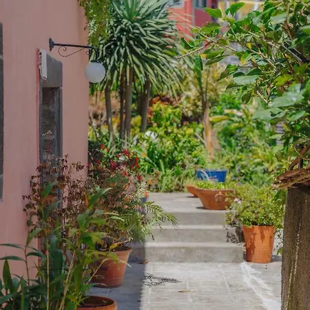 Madeira Surf Sao Vicente (Madeira)