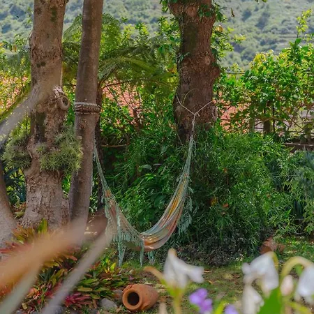 Madeira Surf Guest house Sao Vicente (Madeira)