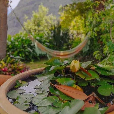 Madeira Surf 3* Sao Vicente (Madeira)