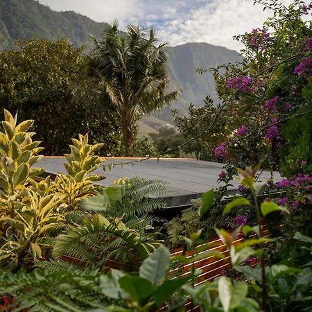 Guest house Madeira Surf 3*