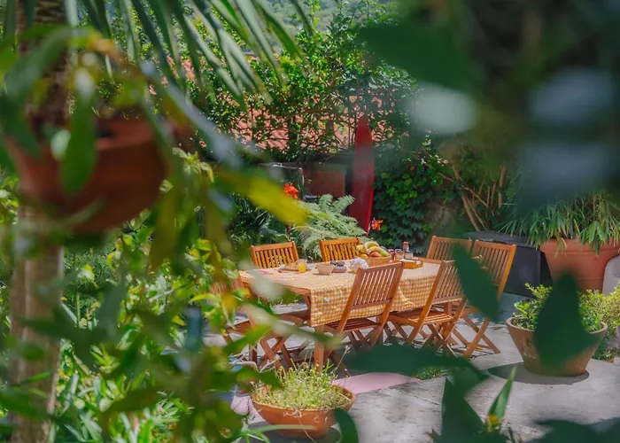 Madeira Surf Сан-Висенти