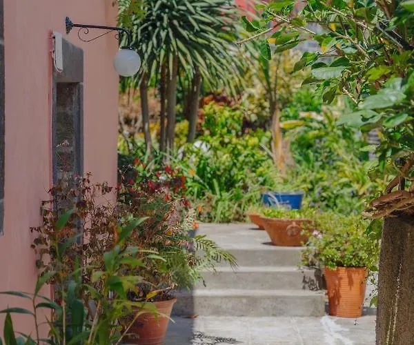 Madeira Surf Сан-Висенти