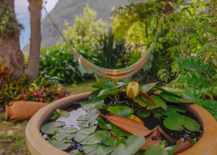 Madeira Surf 3* Сан-Висенти