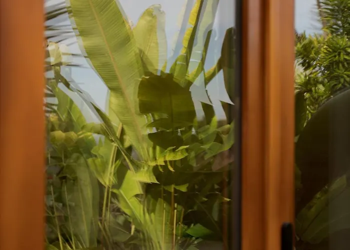 Madeira Surf Гостевой дом 3*