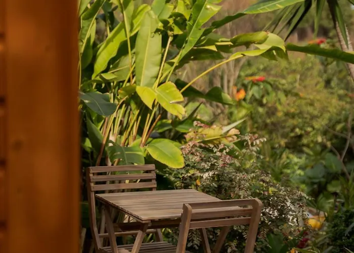 Madeira Surf Гостевой дом Сан-Висенти