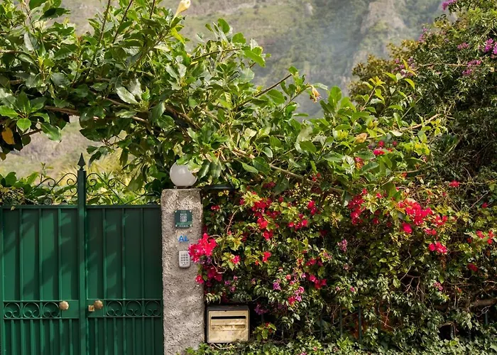 Гостевой дом Madeira Surf Сан-Висенти