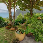 Madeira Surf Affittacamere São Vicente