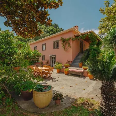 Madeira Surf 3* São Vicente