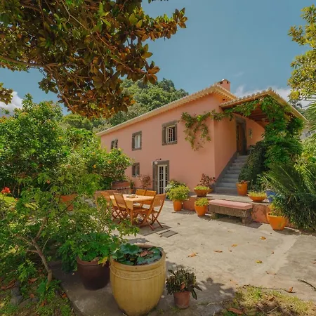 Pensionat Madeira Surf 3*