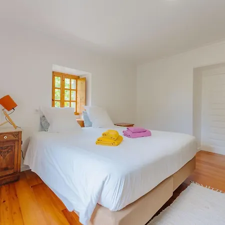 Madeira Surf São Vicente