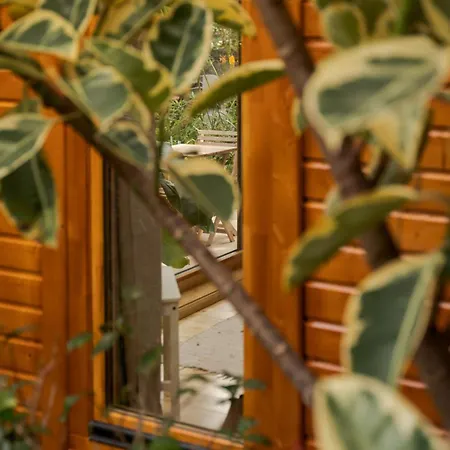 Madeira Surf Pensionat 3*