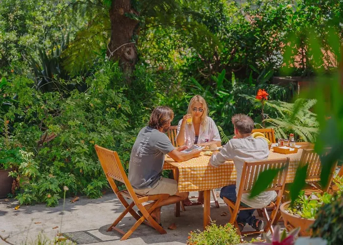 Madeira Surf 招待所 3*