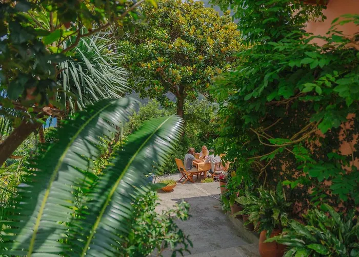 Casa de hóspedes Madeira Surf São Vicente