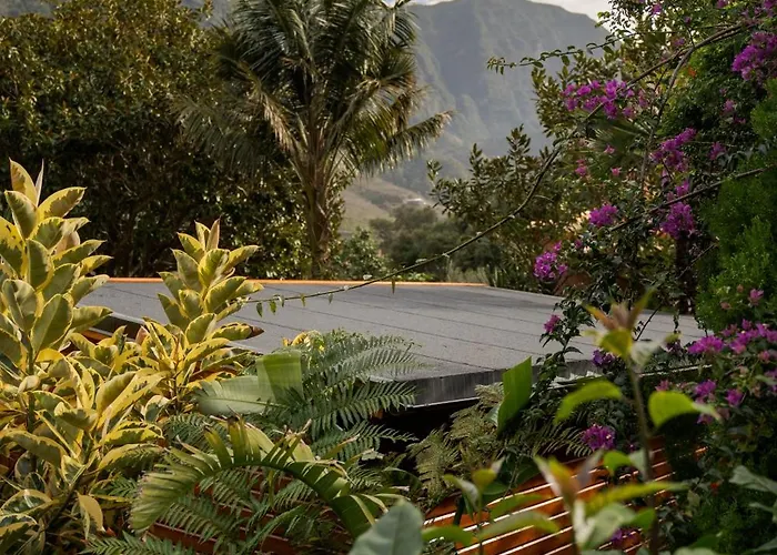 招待所 Madeira Surf 3*